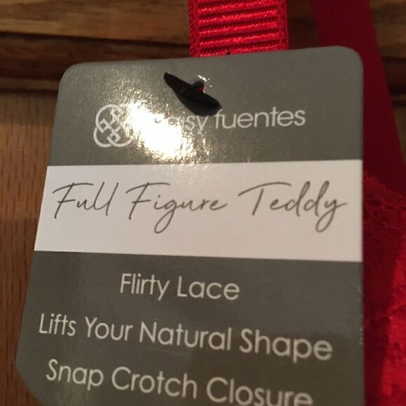 NWT Daisy Fuentes Full Body Sexy Teddy - Picture 7 of 7